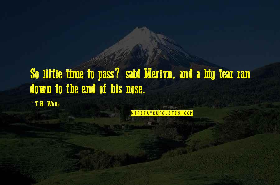 Just A Little More Time Quotes By T.H. White: So little time to pass? said Merlyn, and