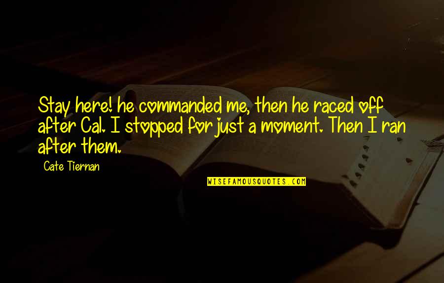 Just A Moment Quotes By Cate Tiernan: Stay here! he commanded me, then he raced Just A Moment Quotes By Cate Tiernan: Stay here! he commanded me, then he raced