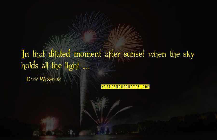 Just After Sunset Quotes By David Wroblewski: In that dilated moment after sunset when the Just After Sunset Quotes By David Wroblewski: In that dilated moment after sunset when the