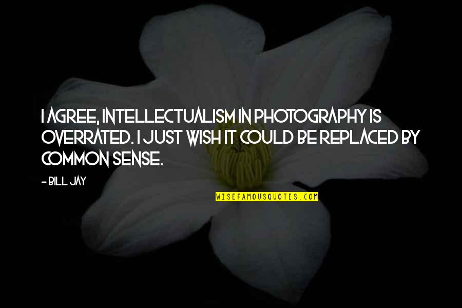 Just Agree Quotes By Bill Jay: I agree, intellectualism in photography is overrated. I