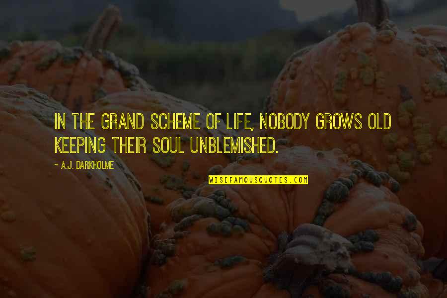Just An Old Soul Quotes By A.J. Darkholme: In the grand scheme of life, nobody grows