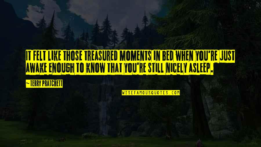 Just Awake Quotes By Terry Pratchett: It felt like those treasured moments in bed