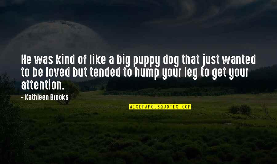 Just Be Kind Quotes By Kathleen Brooks: He was kind of like a big puppy