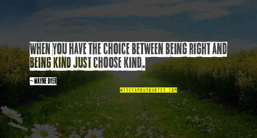 Just Be Kind Quotes By Wayne Dyer: When you have the choice between being right