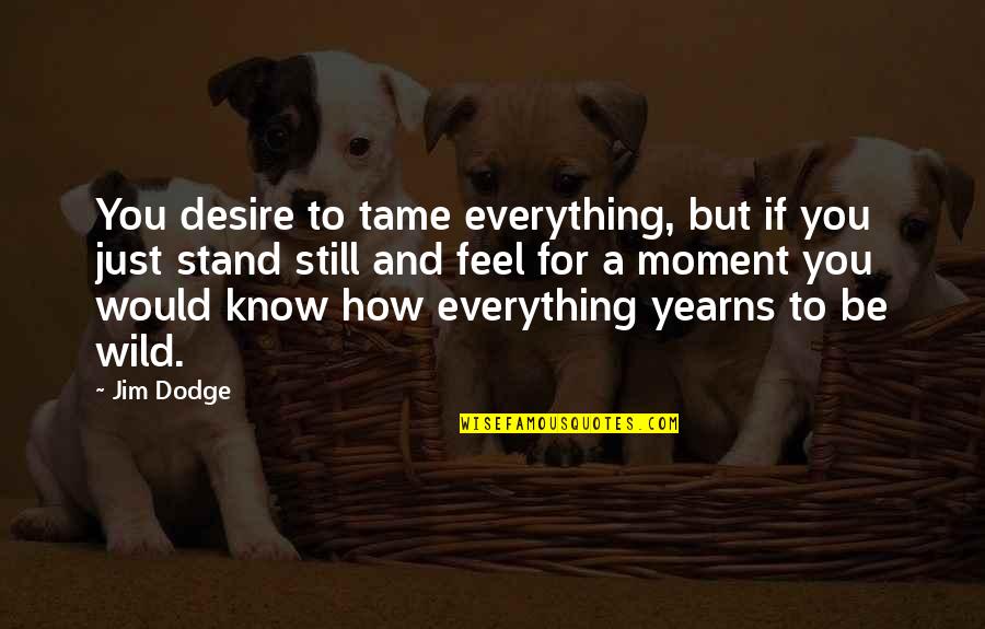 Just Be Still Quotes By Jim Dodge: You desire to tame everything, but if you