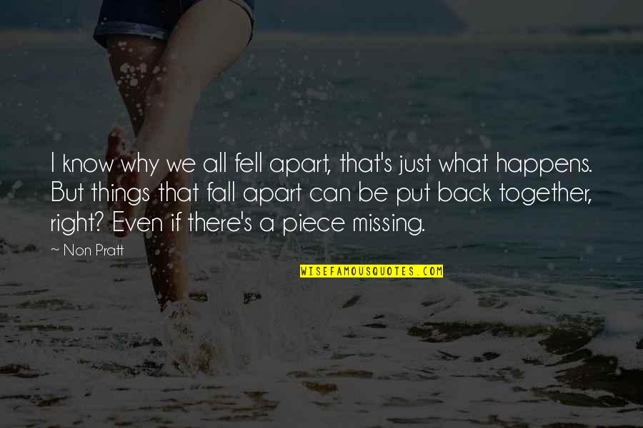 Just Be Together Quotes By Non Pratt: I know why we all fell apart, that's