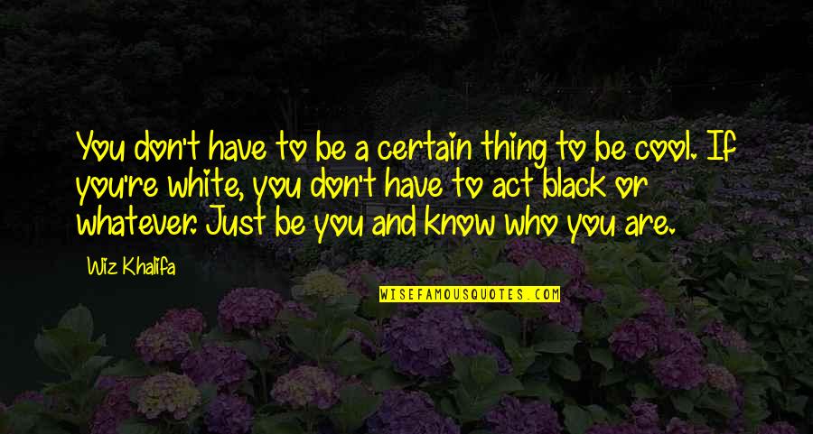 Just Be Who You Are Quotes By Wiz Khalifa: You don't have to be a certain thing