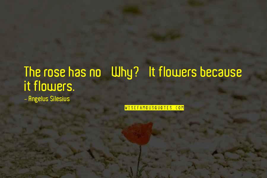 Just Because Flowers Quotes By Angelus Silesius: The rose has no 'Why?' It flowers because