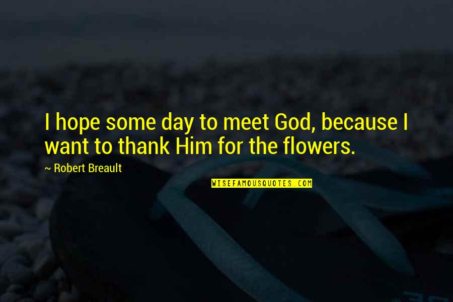 Just Because Flowers Quotes By Robert Breault: I hope some day to meet God, because