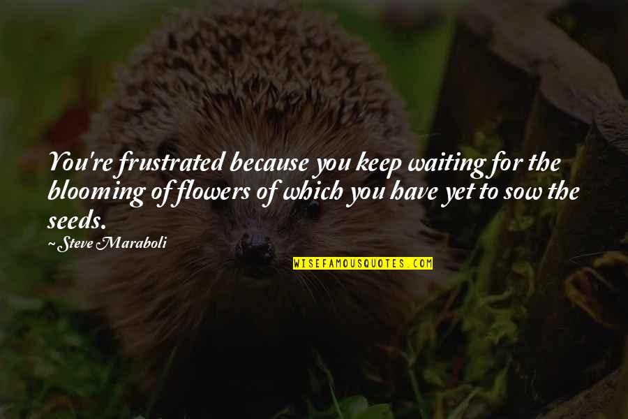 Just Because Flowers Quotes By Steve Maraboli: You're frustrated because you keep waiting for the