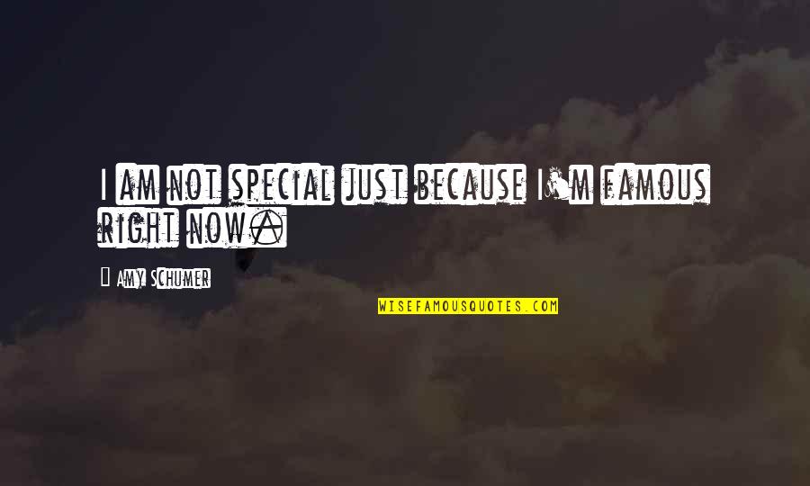 Just Because I Am Quotes By Amy Schumer: I am not special just because I'm famous