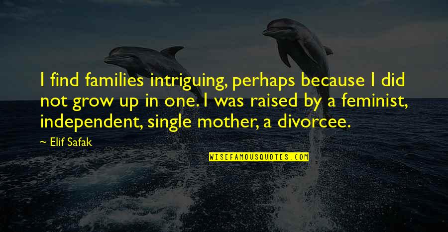 Just Because I M Single Quotes By Elif Safak: I find families intriguing, perhaps because I did