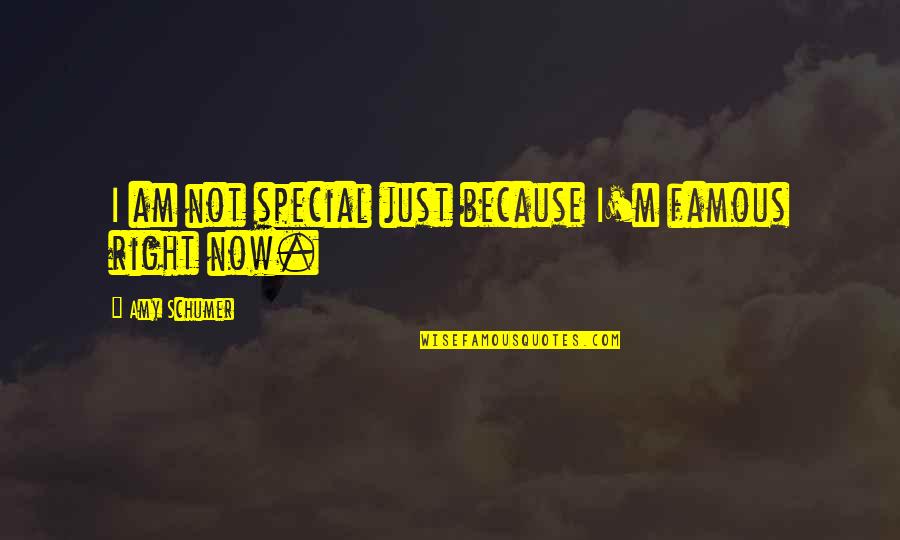 Just Because You Are Special Quotes By Amy Schumer: I am not special just because I'm famous