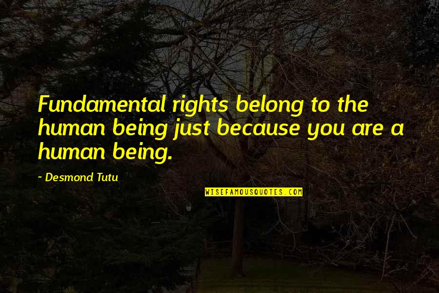 Just Being Human Quotes By Desmond Tutu: Fundamental rights belong to the human being just