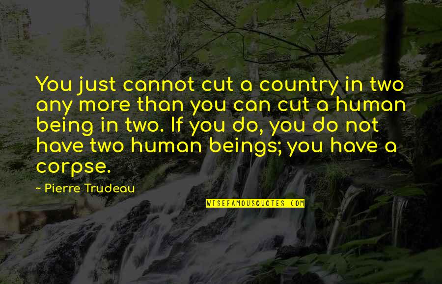 Just Being Human Quotes By Pierre Trudeau: You just cannot cut a country in two