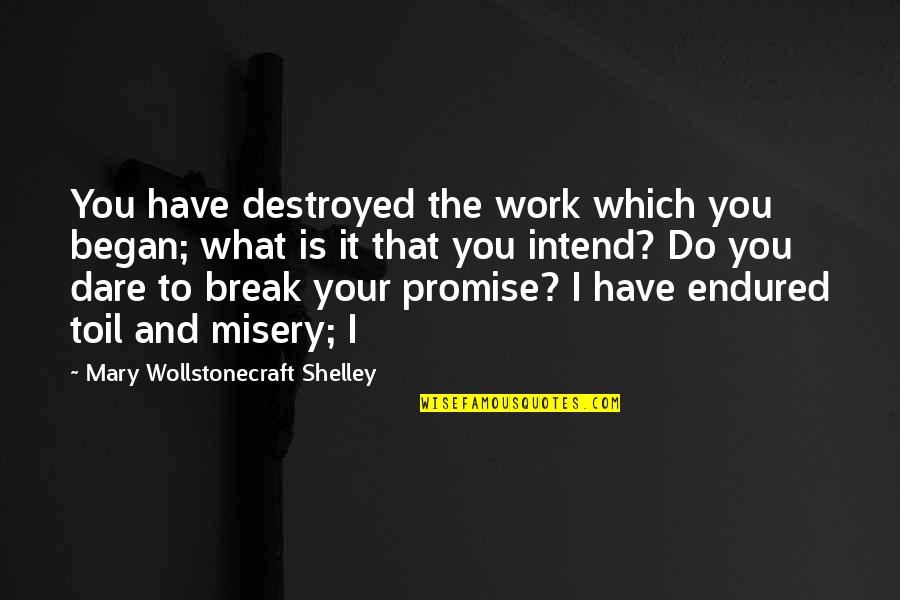Just Break A Promise Quotes By Mary Wollstonecraft Shelley: You have destroyed the work which you began; Just Break A Promise Quotes By Mary Wollstonecraft Shelley: You have destroyed the work which you began;