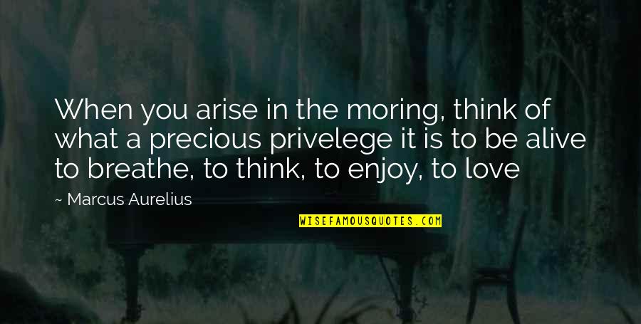 Just Breathe Inspirational Quotes By Marcus Aurelius: When you arise in the moring, think of