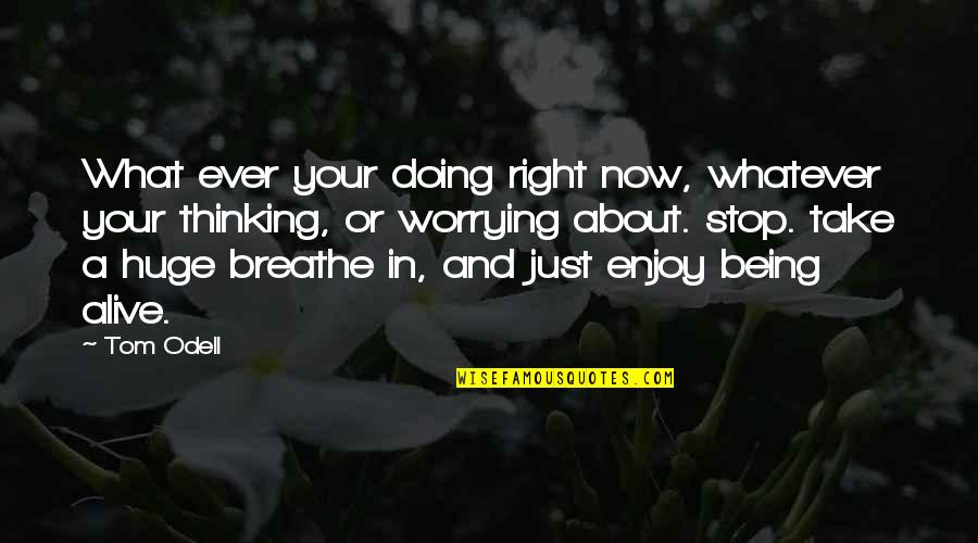 Just Breathe Quotes By Tom Odell: What ever your doing right now, whatever your
