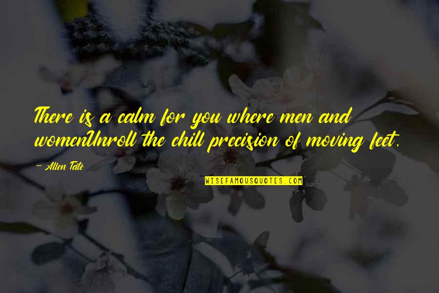 Just Chill Out Quotes By Allen Tate: There is a calm for you where men