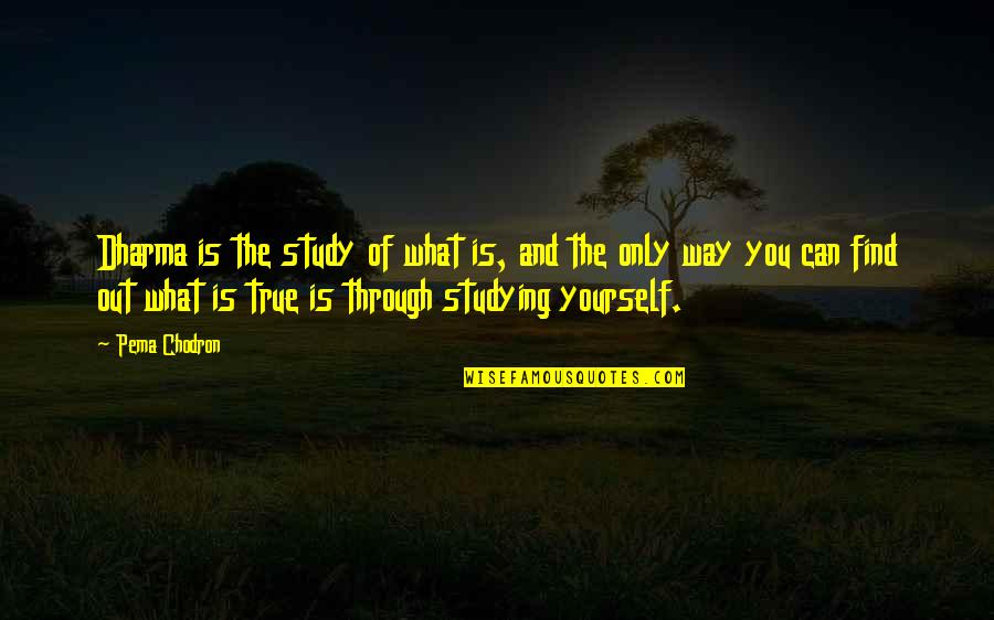 Just Dharma Quotes By Pema Chodron: Dharma is the study of what is, and Just Dharma Quotes By Pema Chodron: Dharma is the study of what is, and