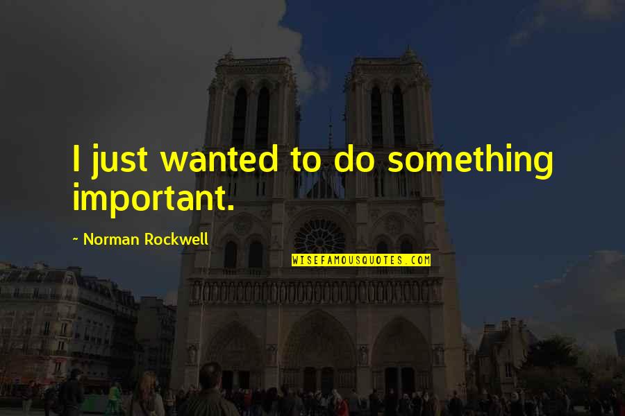 Just Do Something Quotes By Norman Rockwell: I just wanted to do something important.