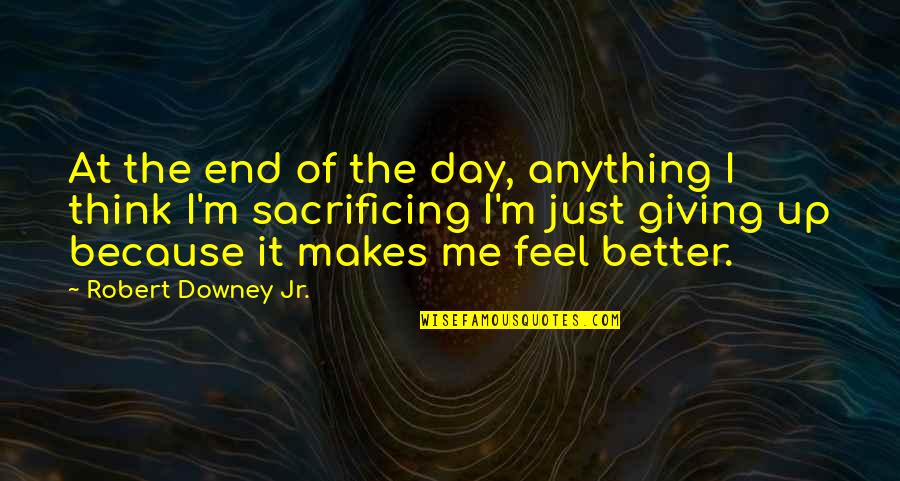 Just End It Quotes By Robert Downey Jr.: At the end of the day, anything I