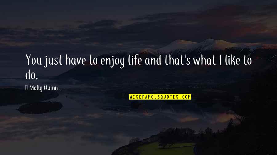 Just Enjoy Life Quotes By Molly Quinn: You just have to enjoy life and that's
