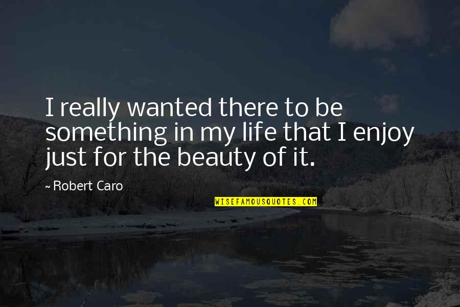 Just Enjoy Life Quotes By Robert Caro: I really wanted there to be something in