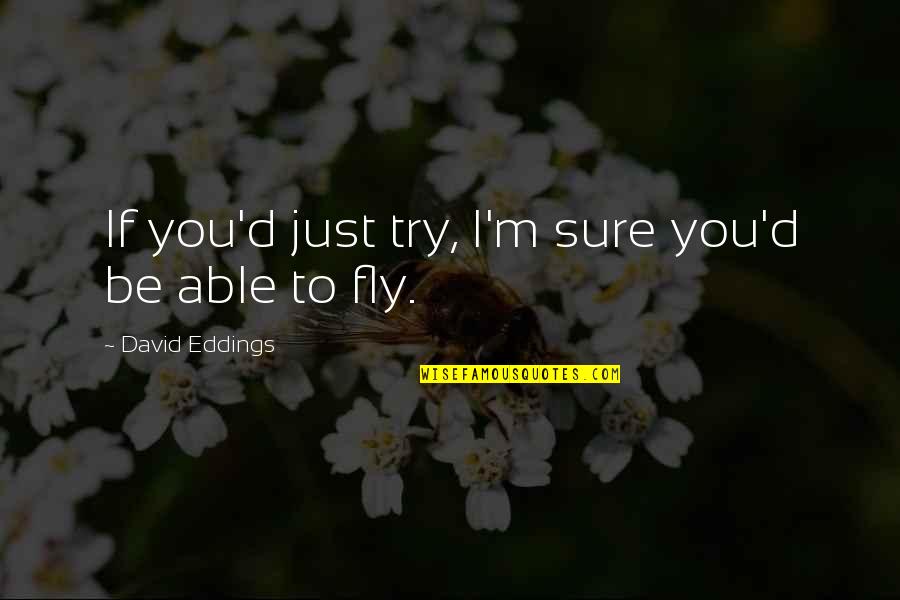 Just Fly Quotes By David Eddings: If you'd just try, I'm sure you'd be Just Fly Quotes By David Eddings: If you'd just try, I'm sure you'd be