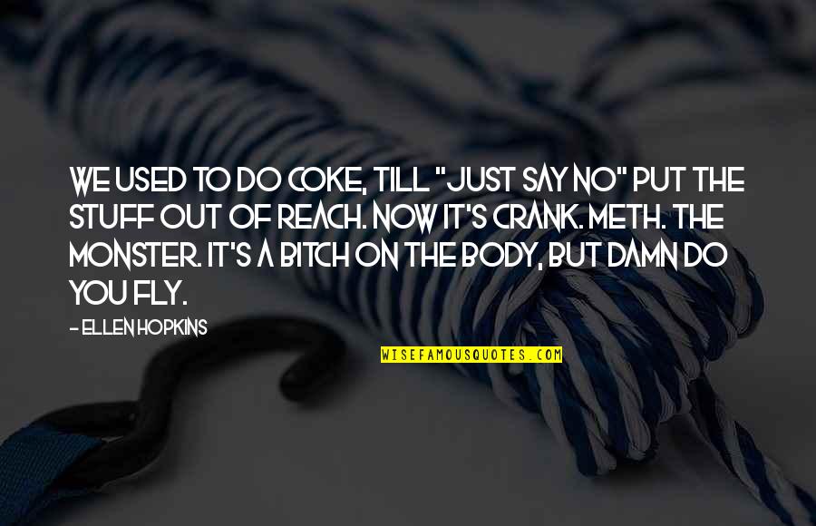 Just Fly Quotes By Ellen Hopkins: We used to do coke, till "Just Say Just Fly Quotes By Ellen Hopkins: We used to do coke, till "Just Say