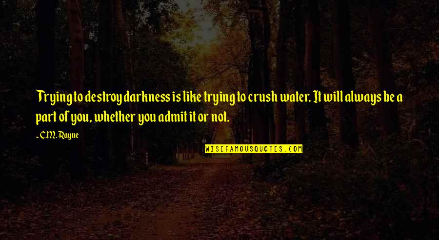Just Friends Sumrit Shahi Quotes By C.M. Rayne: Trying to destroy darkness is like trying to