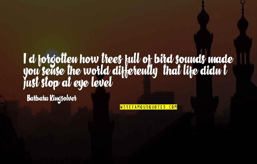 Just Full Quotes By Barbara Kingsolver: I'd forgotten how trees full of bird sounds Just Full Quotes By Barbara Kingsolver: I'd forgotten how trees full of bird sounds