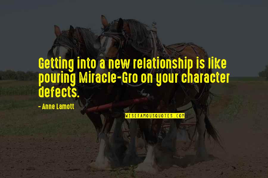 Just Getting Out Of A Relationship Quotes By Anne Lamott: Getting into a new relationship is like pouring