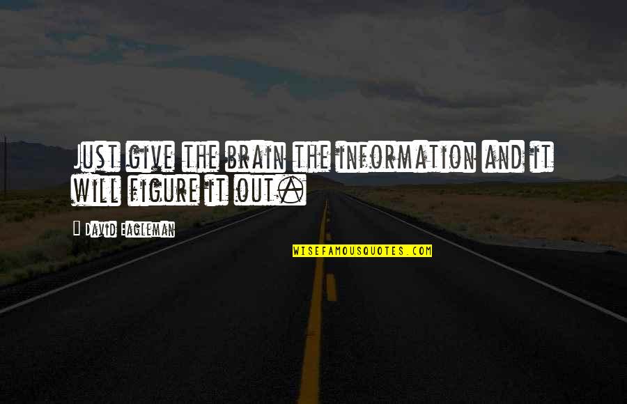 Just Give Quotes By David Eagleman: Just give the brain the information and it