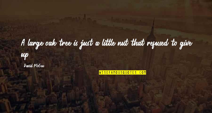 Just Give Up Quotes By David McGee: A large oak tree is just a little