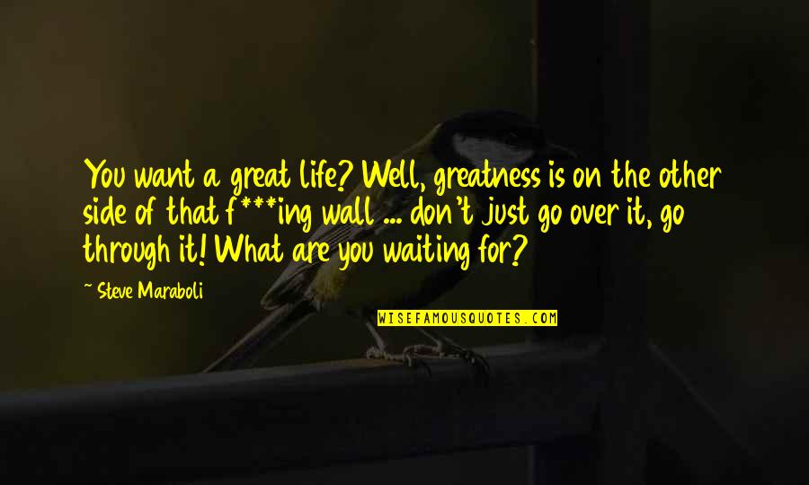 Just Go For It Quotes By Steve Maraboli: You want a great life? Well, greatness is