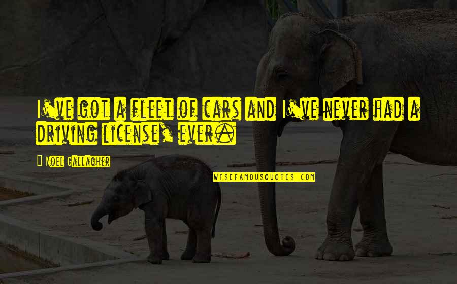 Just Got My License Quotes By Noel Gallagher: I've got a fleet of cars and I've
