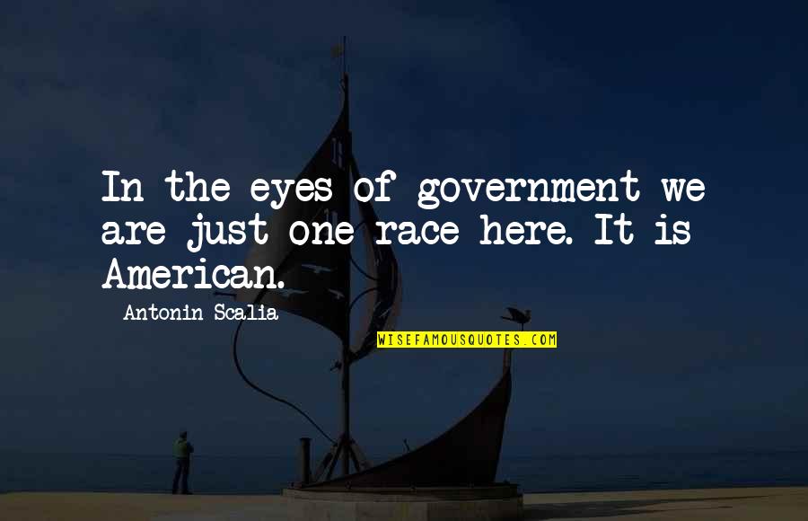 Just Government Quotes By Antonin Scalia: In the eyes of government we are just