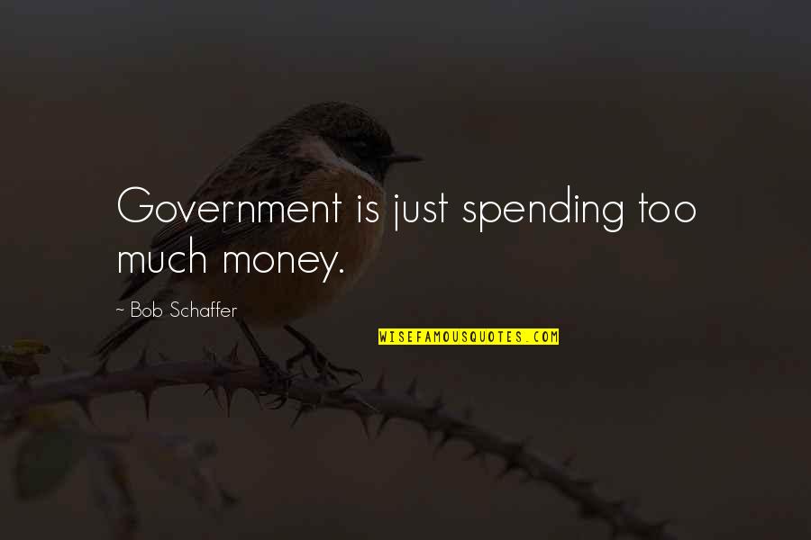 Just Government Quotes By Bob Schaffer: Government is just spending too much money.