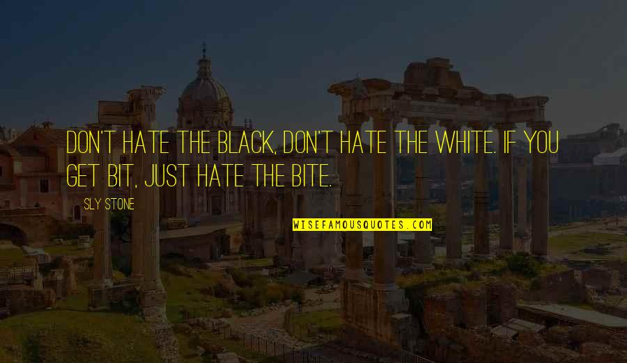 Just Hate You Quotes By Sly Stone: Don't hate the black, don't hate the white.