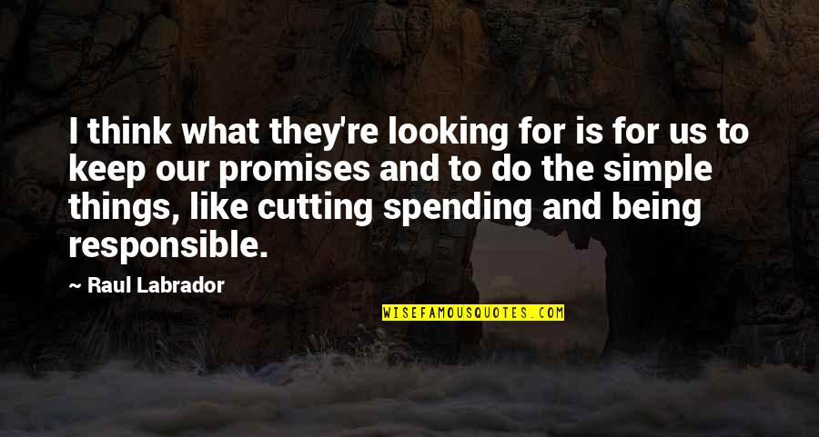 Just Keep It Simple Quotes By Raul Labrador: I think what they're looking for is for