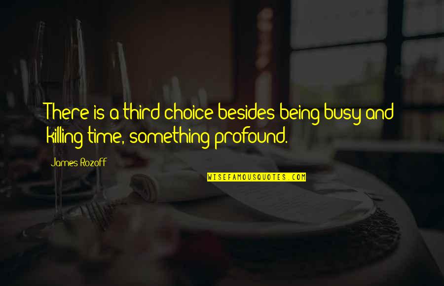 Just Killing Time Quotes By James Rozoff: There is a third choice besides being busy