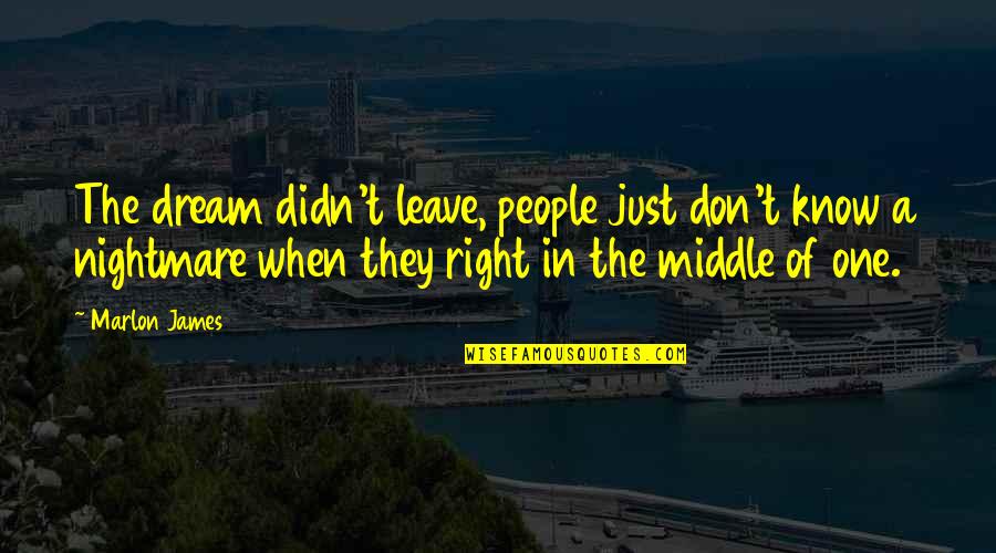 Just Leave Quotes By Marlon James: The dream didn't leave, people just don't know