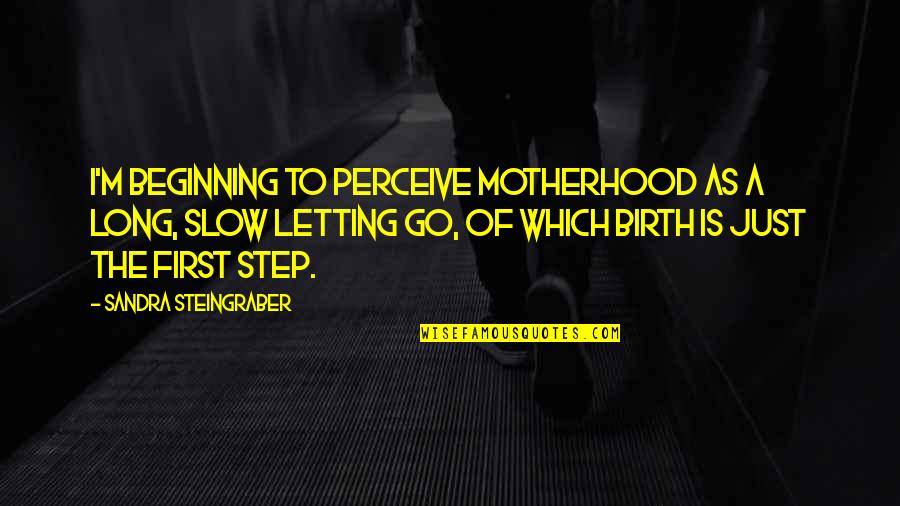 Just Letting Go Quotes By Sandra Steingraber: I'm beginning to perceive motherhood as a long,