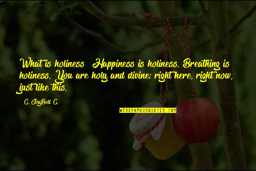 Just Like Happiness Quotes By C. JoyBell C.: What is holiness? Happiness is holiness. Breathing is