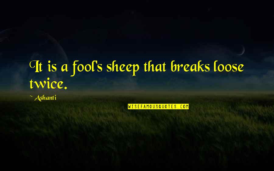 Just Live Tattoo Quotes By Ashanti: It is a fool's sheep that breaks loose