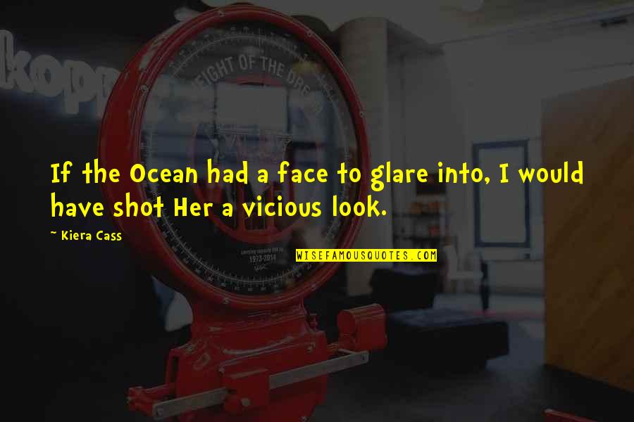 Just Look At Her Quotes By Kiera Cass: If the Ocean had a face to glare
