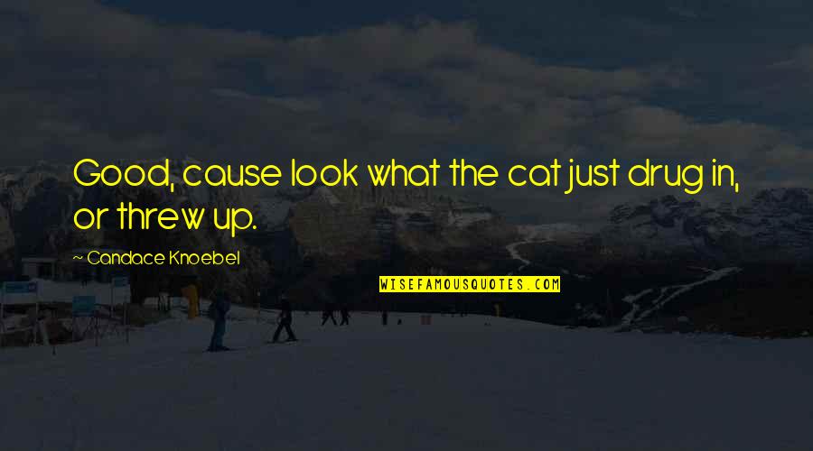 Just Look Up Quotes By Candace Knoebel: Good, cause look what the cat just drug