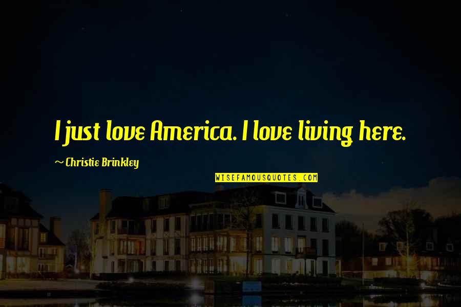 Just Love Quotes By Christie Brinkley: I just love America. I love living here.