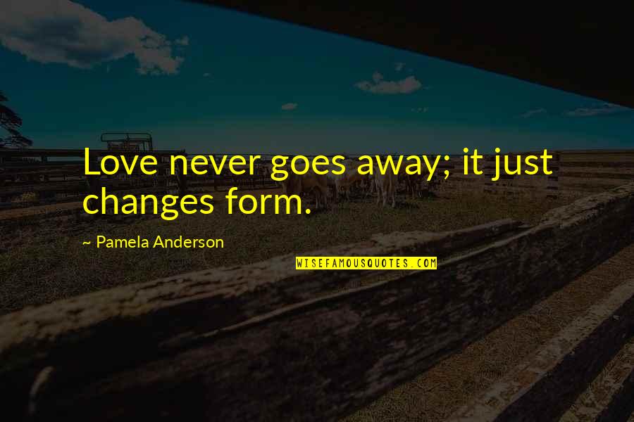 Just Love Quotes By Pamela Anderson: Love never goes away; it just changes form.